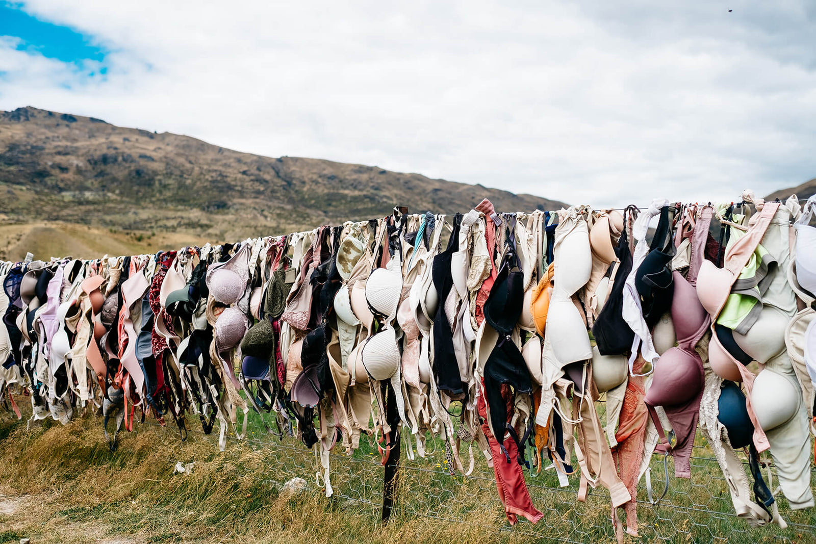 Hundreds of bras hanging on a drying line outside