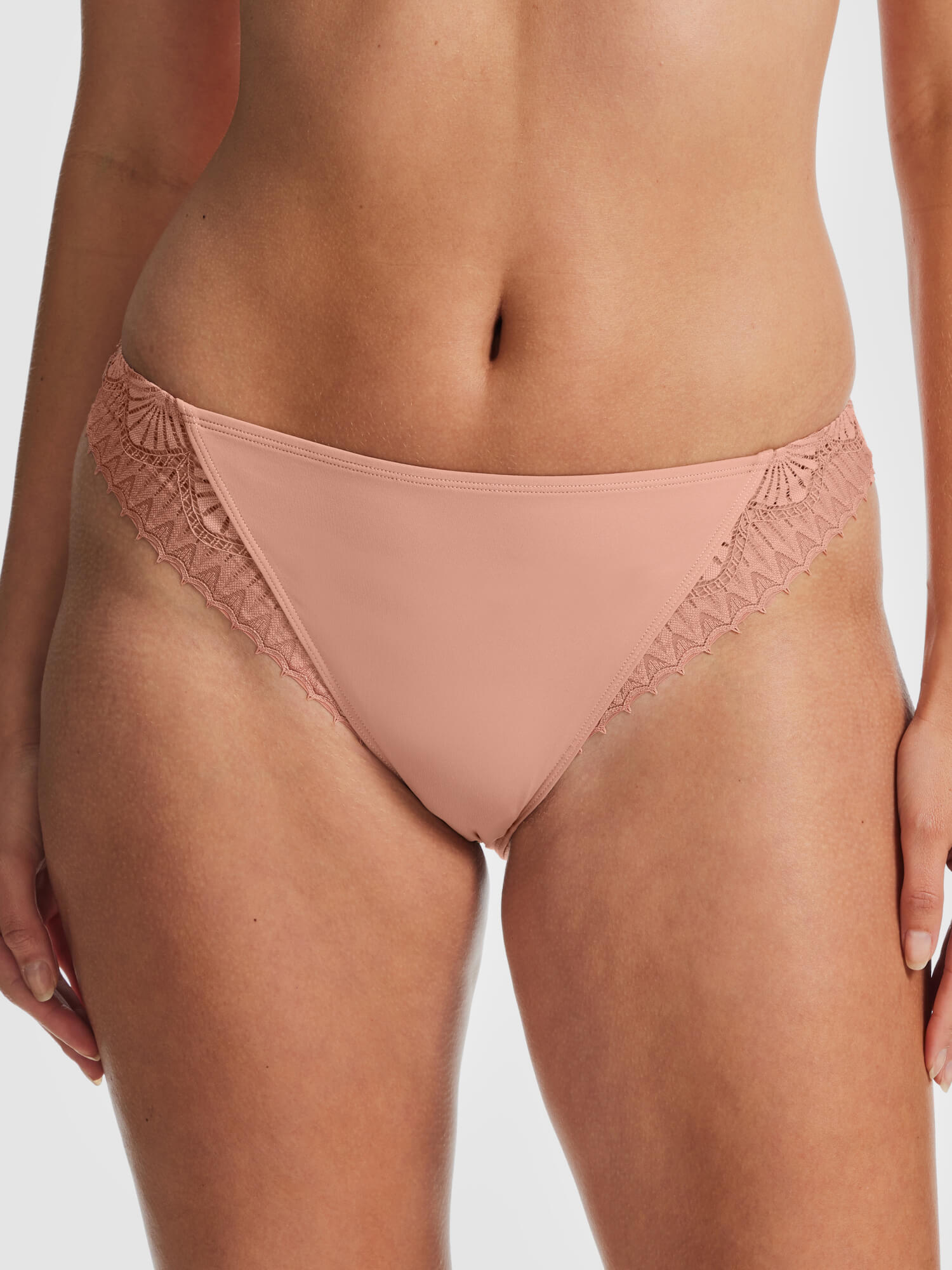 Daydream Lace High Cut Brief - Nude - Fine Lines Lingerie
